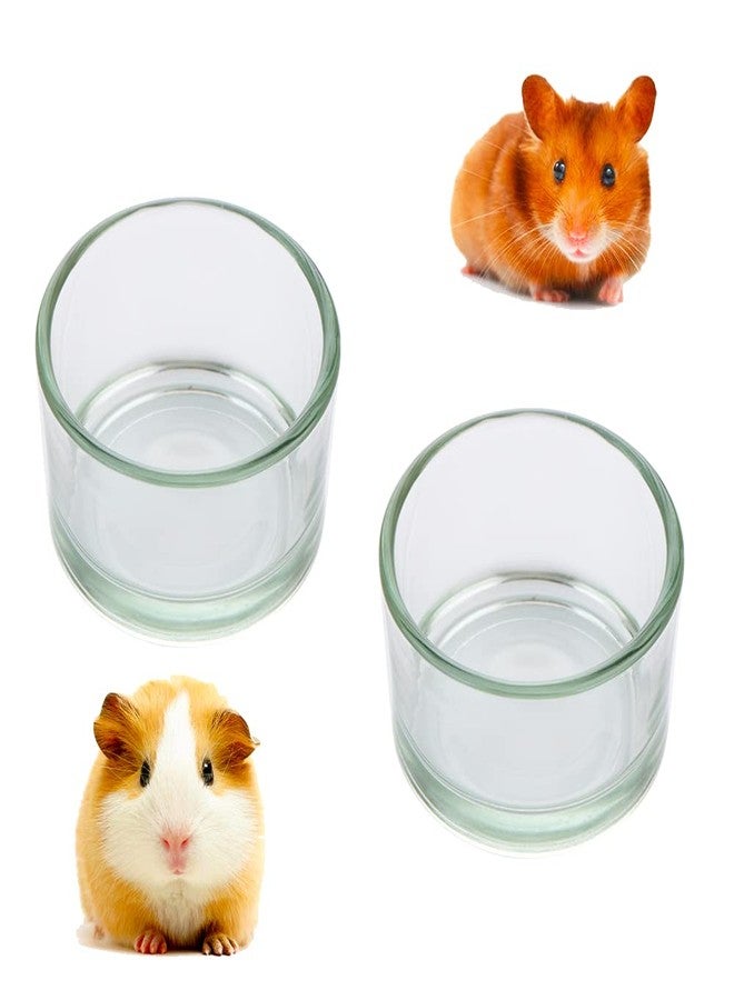 DQITJ 2 Pcs Hamster Food and Water Bowl Glass Anti-Turning Transparent Dish for Hamster and Other Small Pet - Image 1